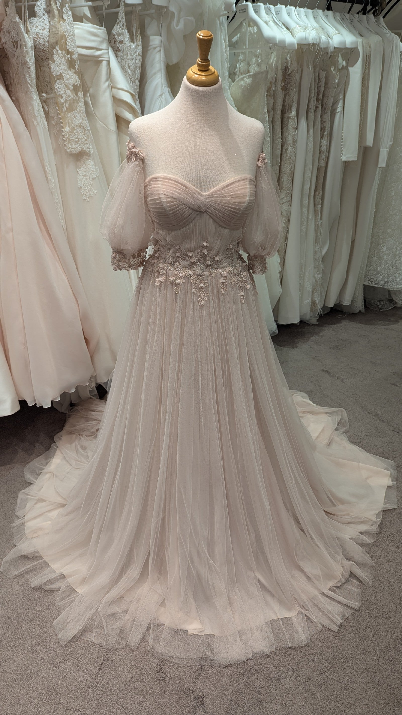 Pronovias Bloom Gown