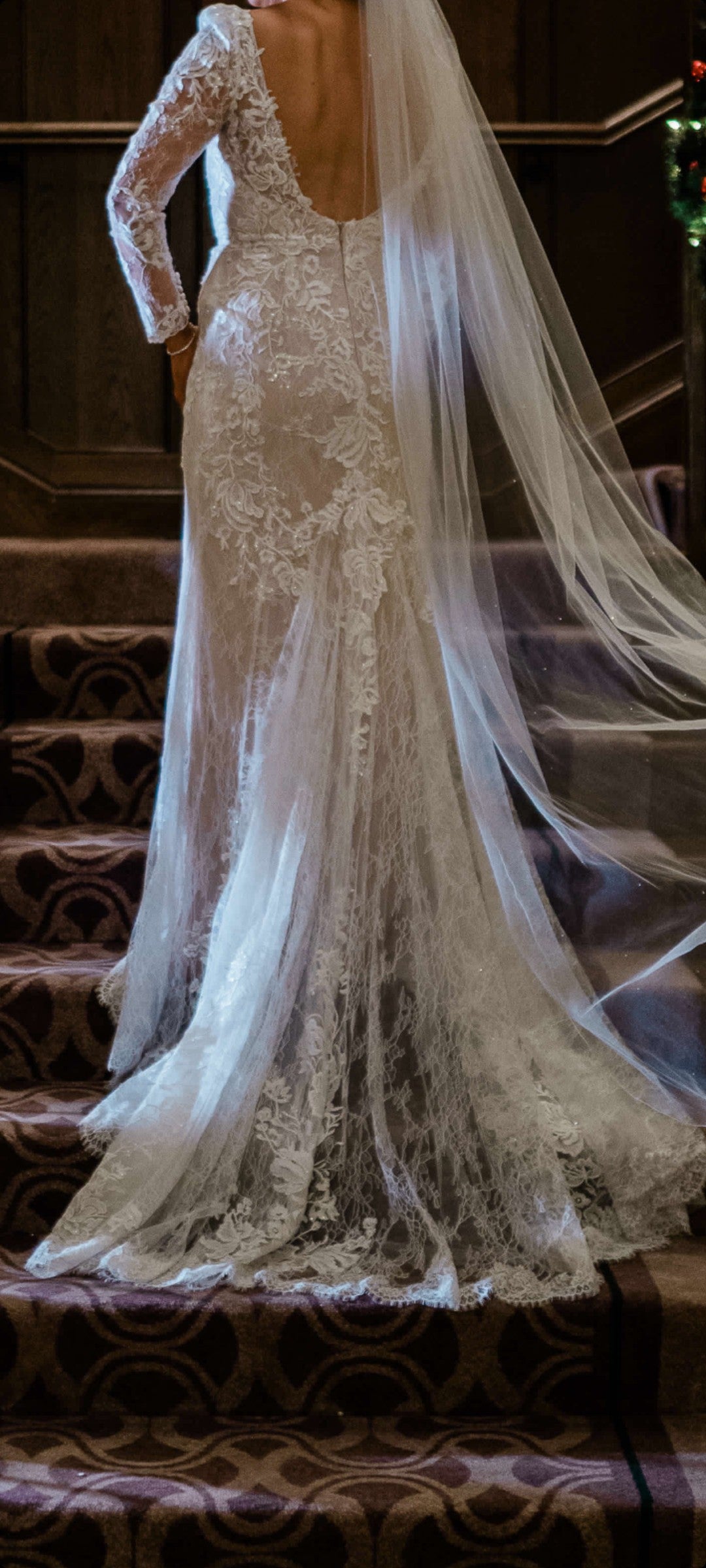 Pronovias Panjin Gown