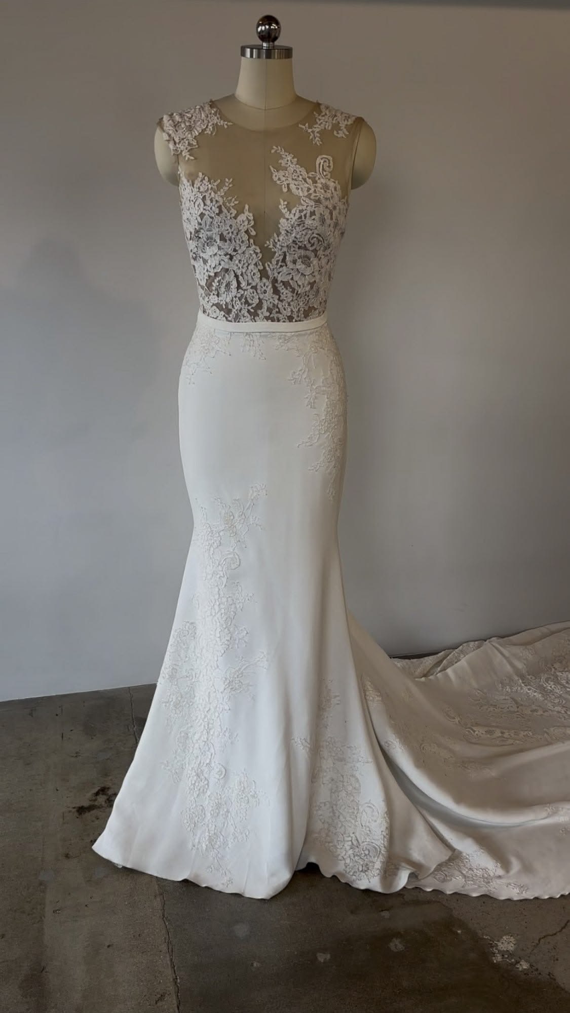 Pronovias Vicenta Gown