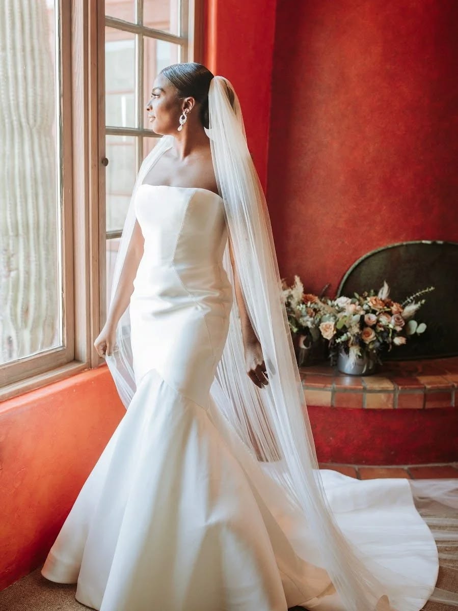 Pronovias Oberon Gown