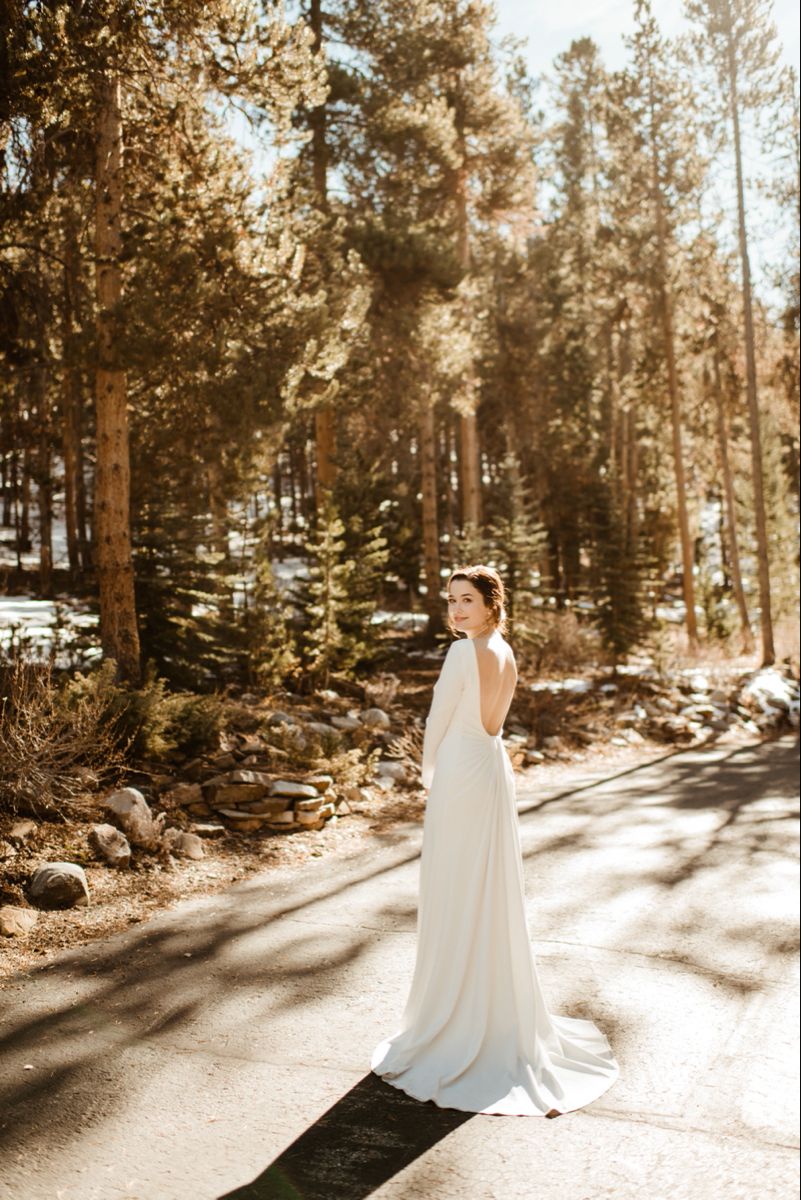 BHLDN Tadashi Shoji Maven Gown