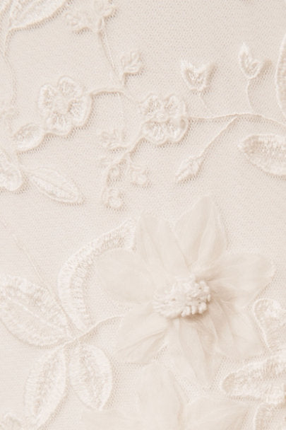 BHLDN Veronique Gown