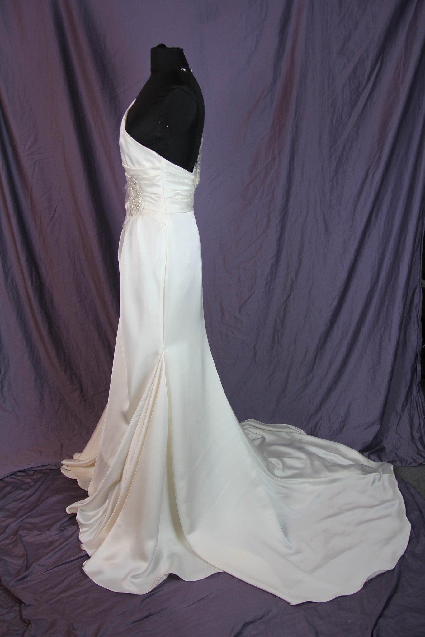 Pronovias Ugarte Gown