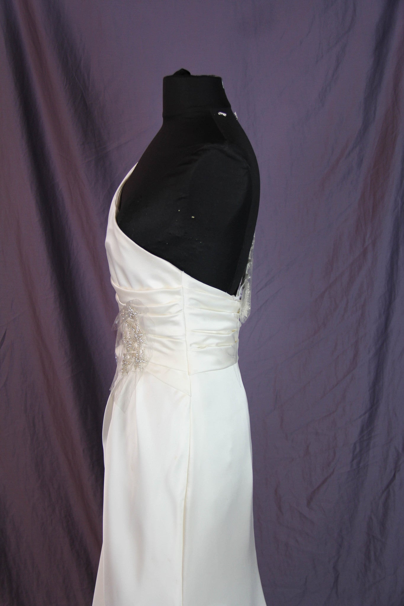 Pronovias Ugarte Gown