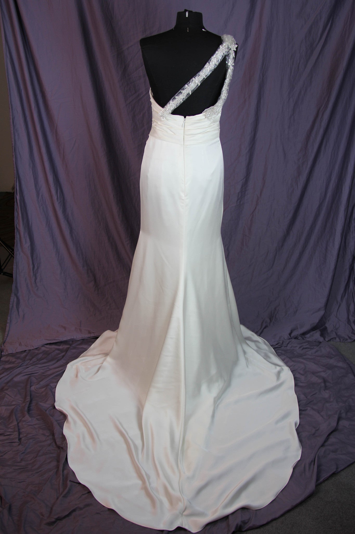 Pronovias Ugarte Gown