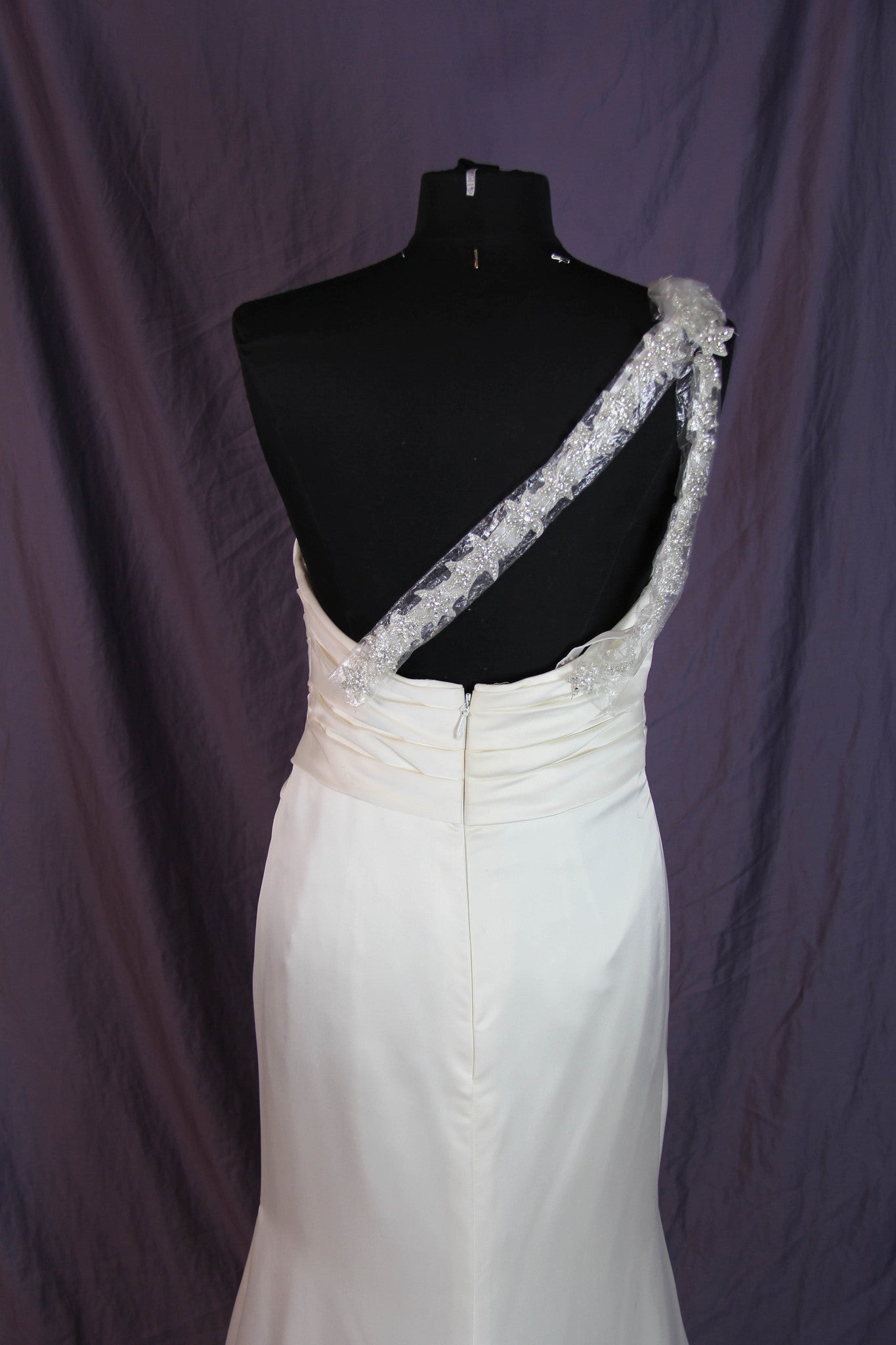 Pronovias Ugarte Gown